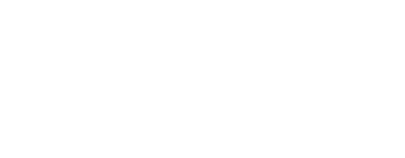 NPIN logo
